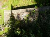image of grave number 808529